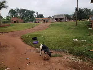 Commercial Land in Mpigi