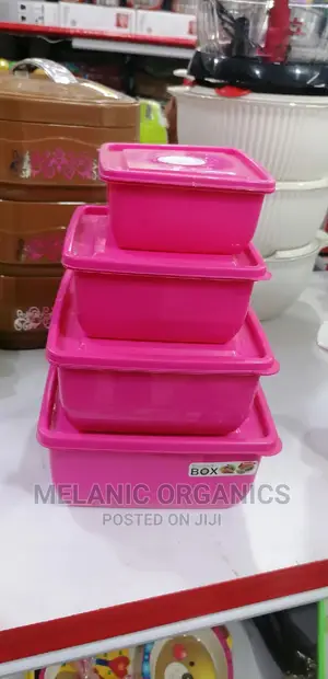 4 Plastic Storage Containers