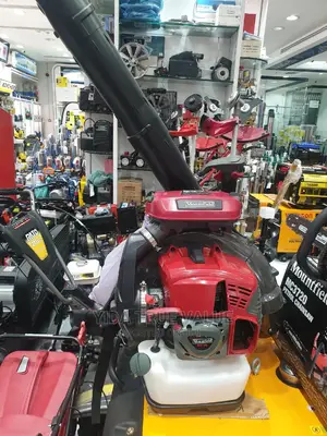 Air Blower (Petrol)