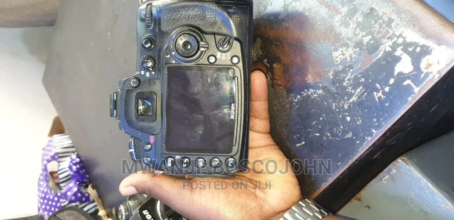 Nikon D300s