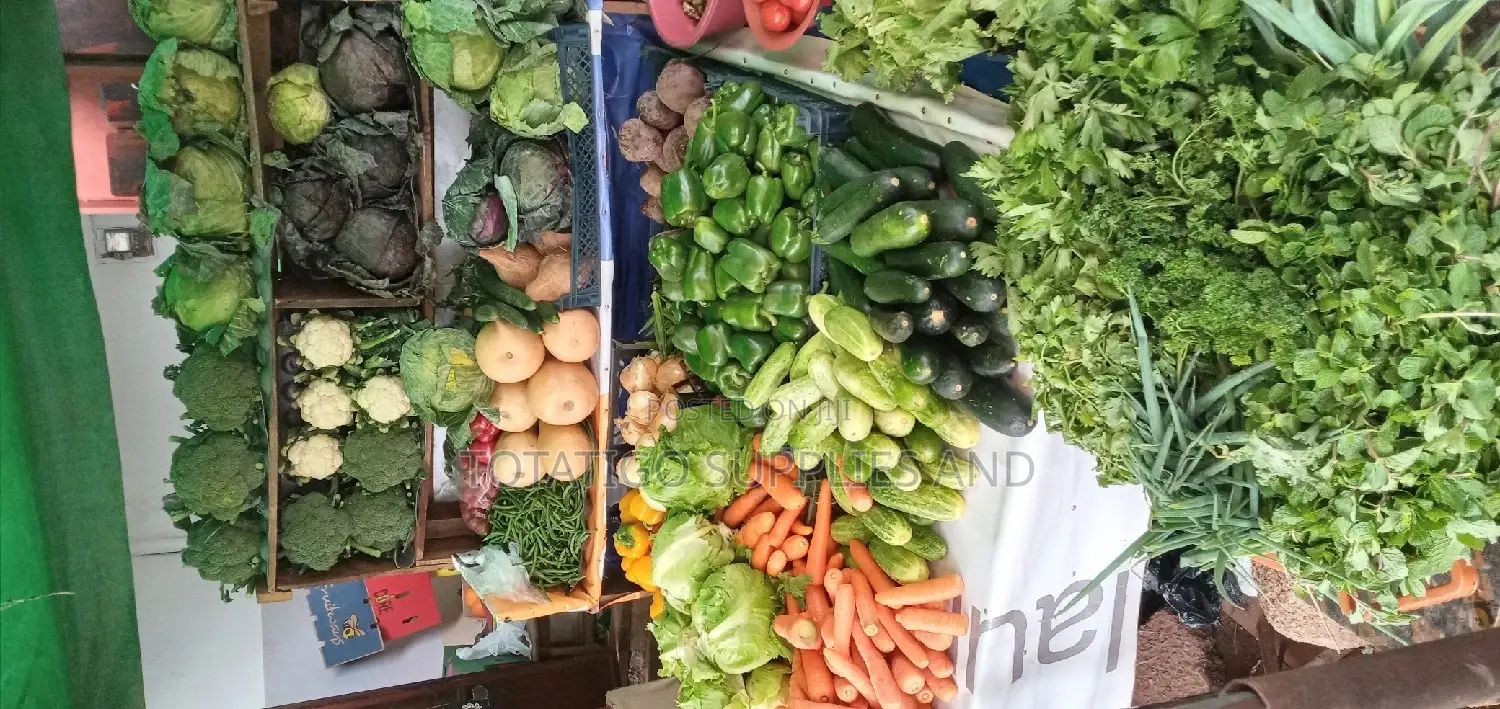 All Vegetables at a Fresh Status