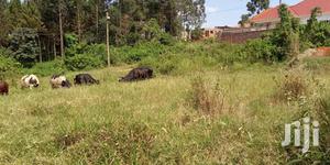 Kira Hillview Plots On Sell