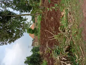 Nakwero 25 Decimals Near Main Road on Sell