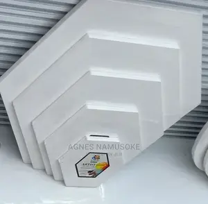 Shaped Canvas