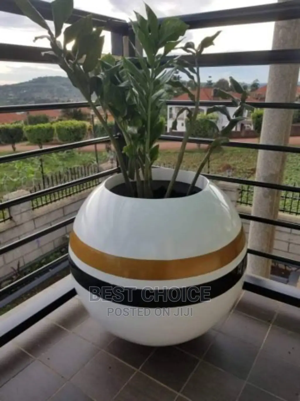 Beutiful Balcony,Out Door Plants.