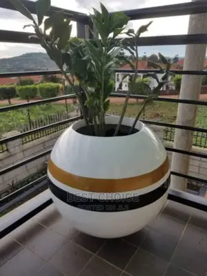 Beutiful Balcony,Out Door Plants.