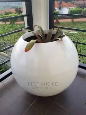 Beutiful Balcony,Out Door Plants.