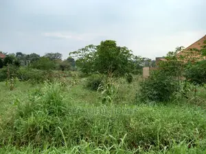Nakwero Residential Plots on Sell