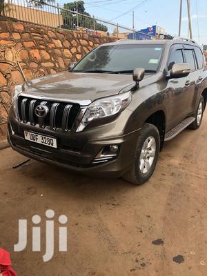 Car Hiring and Self Drive