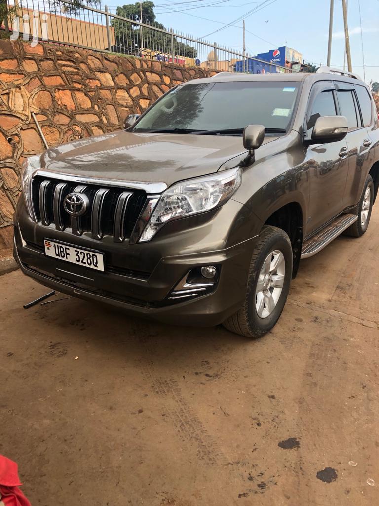 Car Hiring and Self Drive