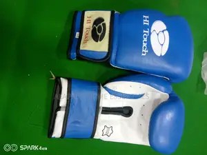HI Touch Boxing Gloves