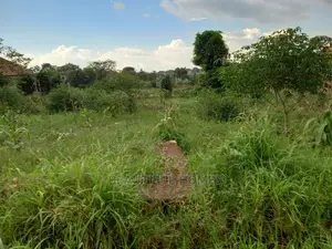 Kira Two Plots on Sell