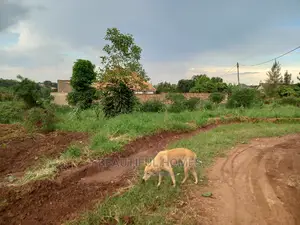 Nakwero Two Great Plots on Sell