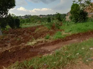 More Two Plots in Kira on Sell