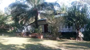 3bdrm Bungalow in Kololo Property, Kampala for Rent