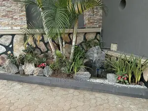 High Standard Compound Designing and Land Scaping.