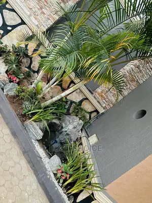 High Standard Compound Designing and Land Scaping.