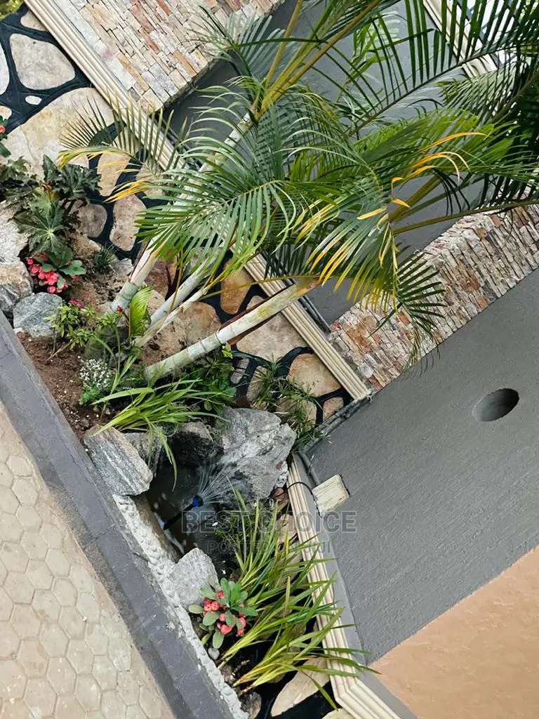 High Standard Compound Designing and Land Scaping.