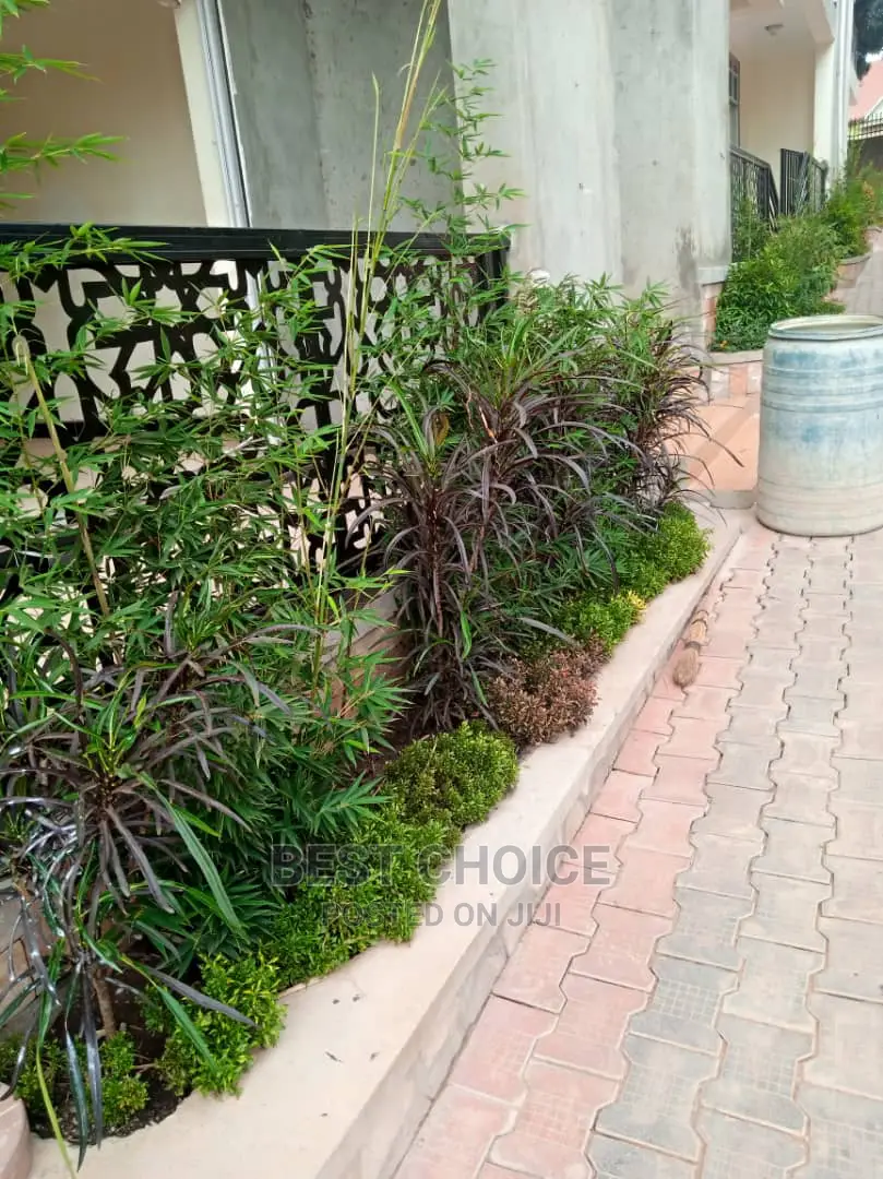 Modern Compound Designs and Land Scarping Services.