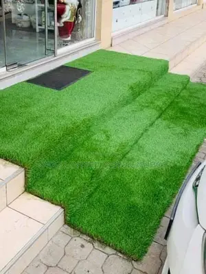 Grass Carpet (Artificial Grass)/Synthetic Turf Grass