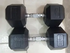 20kg Dumbbell Back