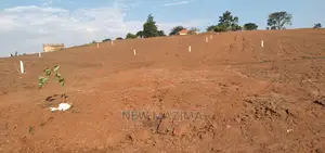 Buloba Town Estate Affordable Plots With Ready Private Title