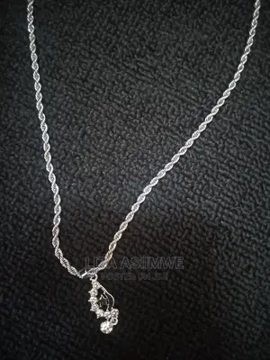 Authentic and Nice Chain's (Unisex)