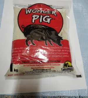 Wonder Pig