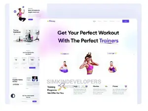Website Design and Development