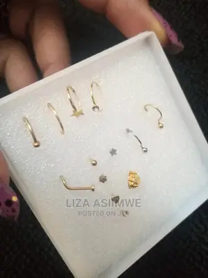 Quality and Unique Nosepieces (Nosepins)