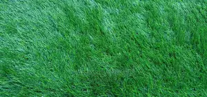 Artificial Tuff Grass