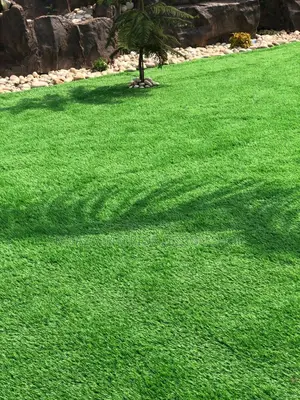Artificial Turf Grass Carpet/Grass Carpet/Grass Carpet