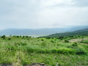 3 Acres Beautiful Park View Land in Kyambura, Rubirizi.