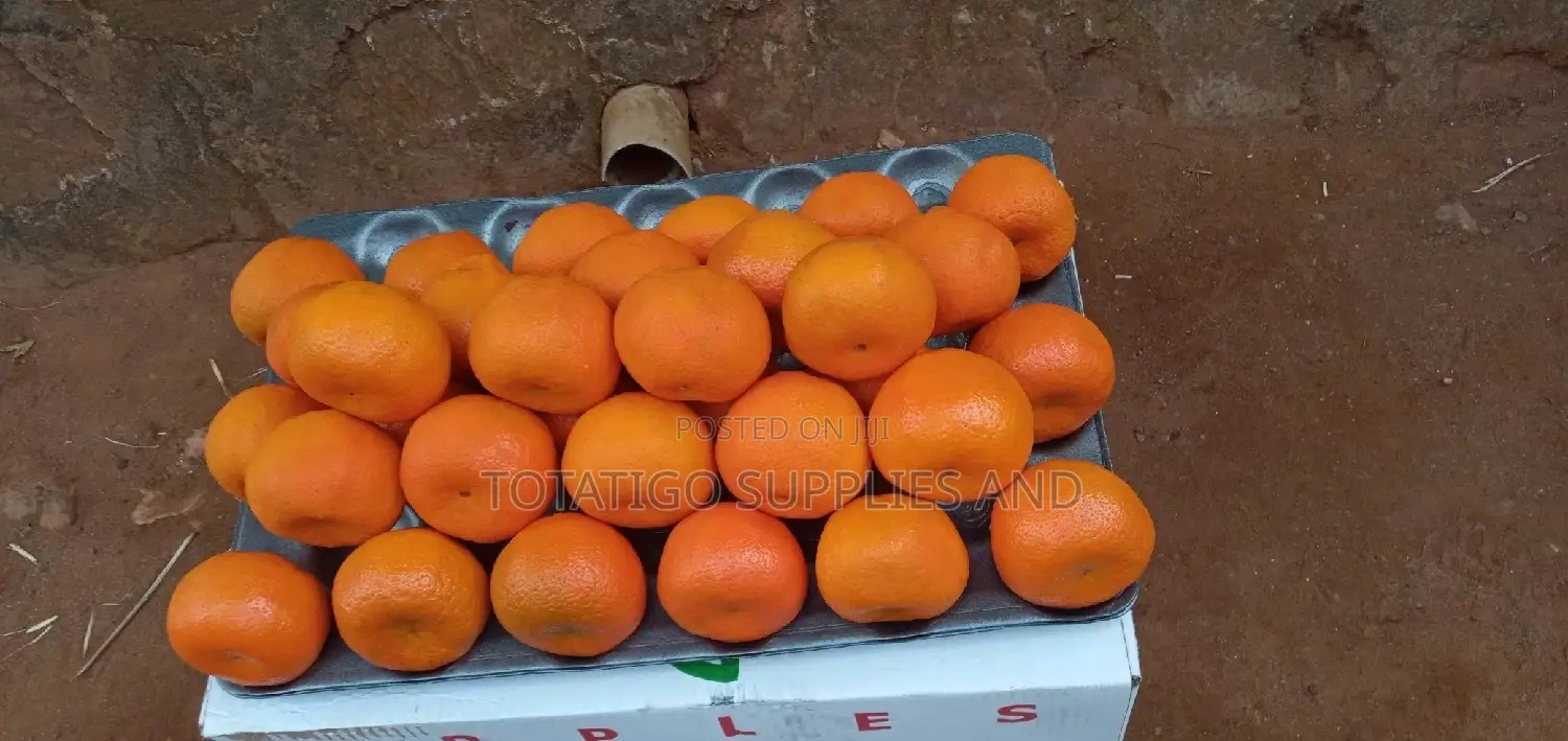 Fresh Tangerines