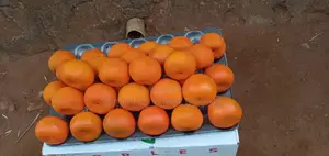 Fresh Tangerines