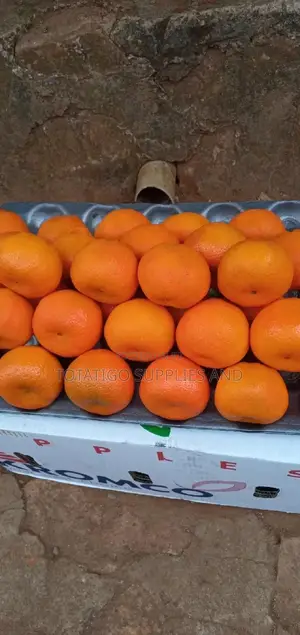 Fresh Tangerines