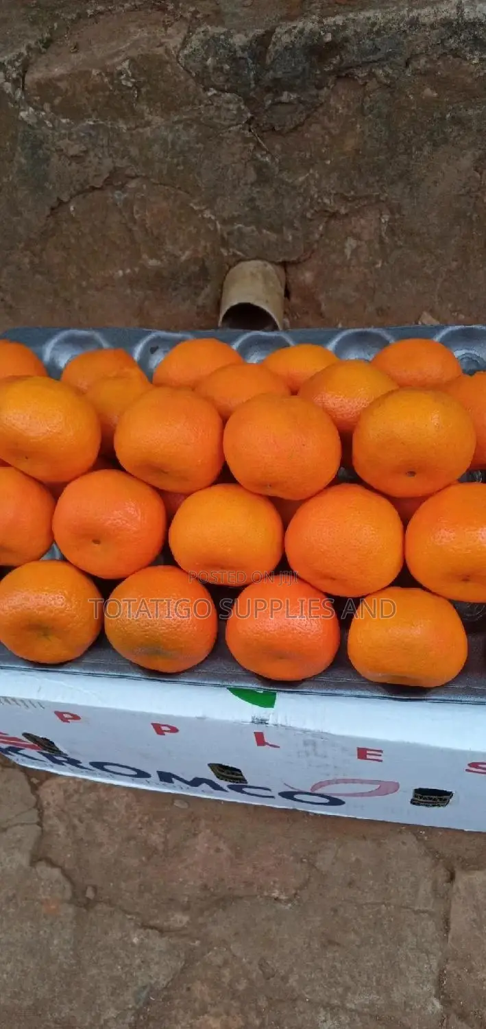Fresh Tangerines