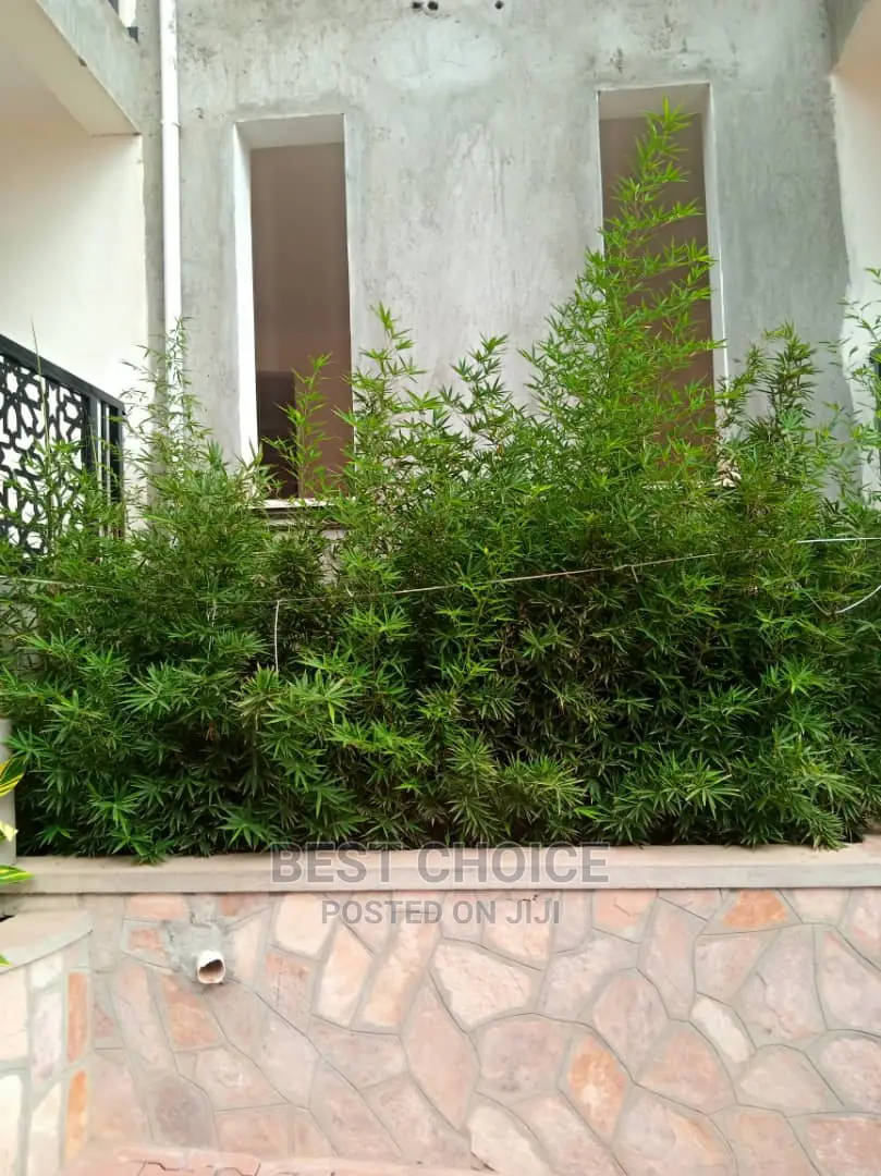 Modern,Beautiful,Affordable Compound Designing Services.