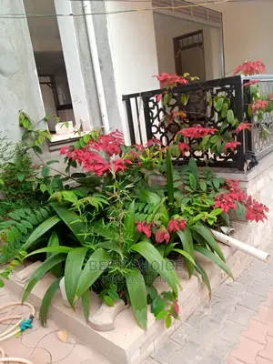 Modern,Beautiful,Affordable Compound Designing Services.
