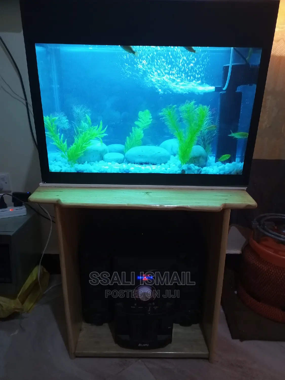 Portable and Cheaper Aquarium