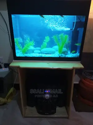 Portable and Cheaper Aquarium