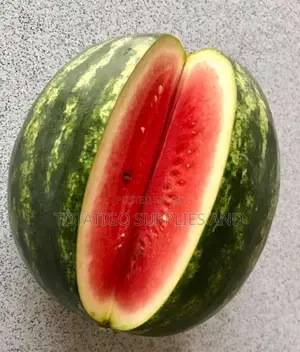 Watermelon Big-1pc