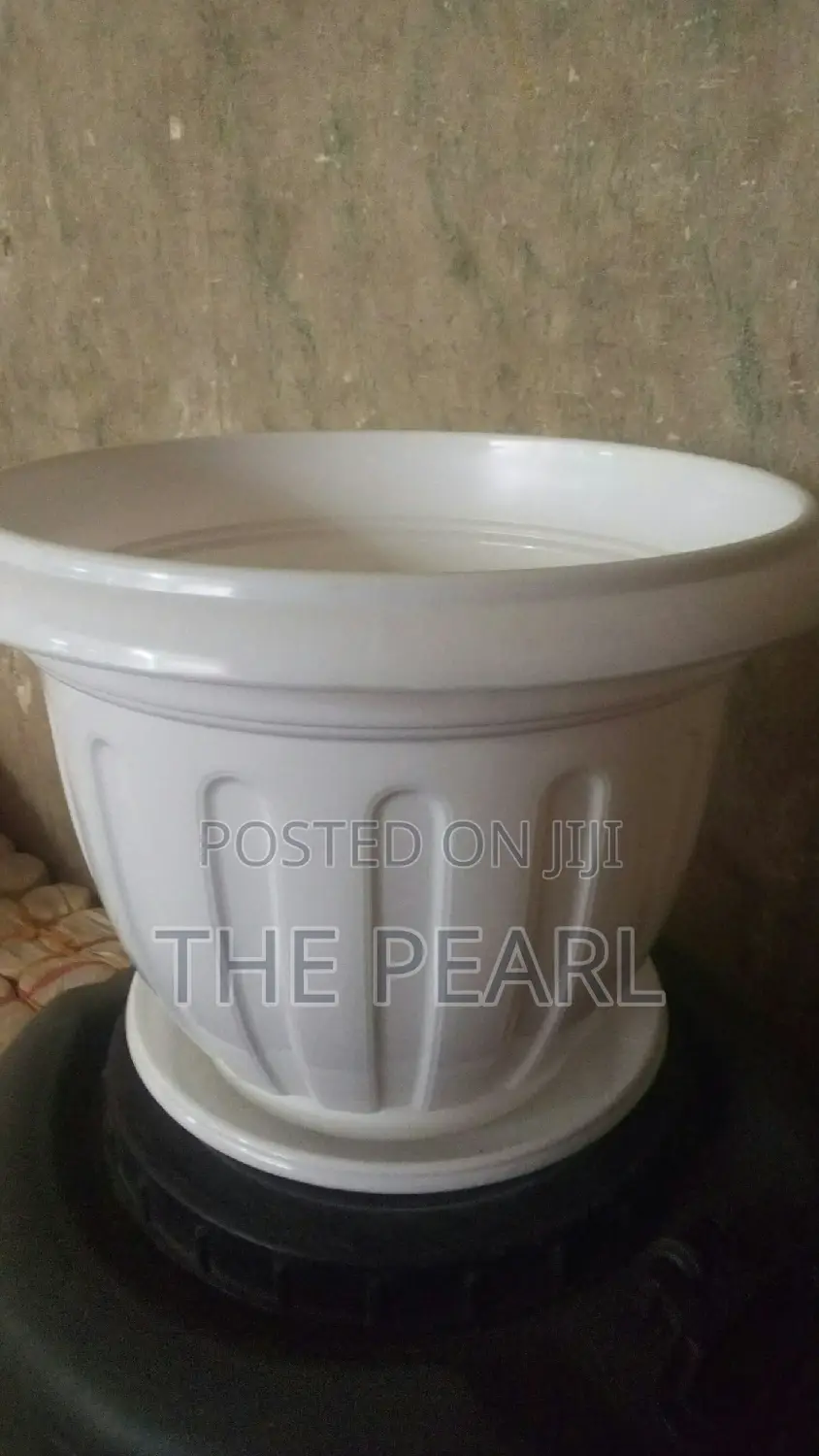 Flower Pots on Sale