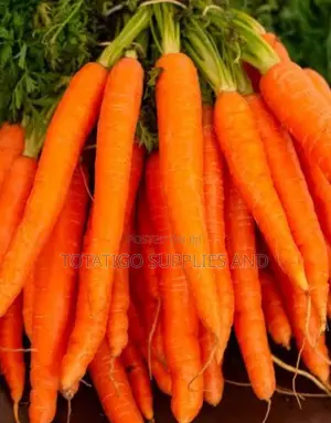 Carrots Fresh -1kg