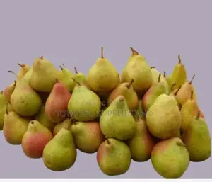 Pears Imported Available at Any Time
