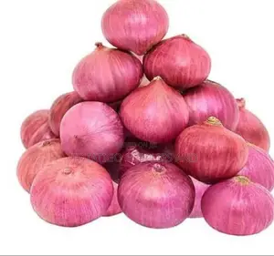 Dry Onions -1kg