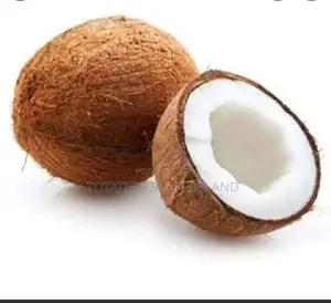 Coconut Heavyweight