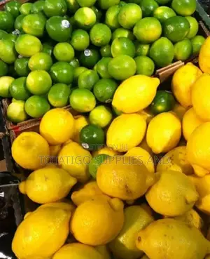 Lime and Lemons-1kg
