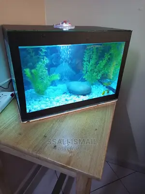 Best Small Aquarium
