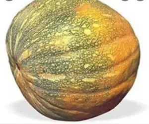 Pumpkins Yellow
